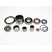 Carefree package: Bearing replacement for your BOSCH eBike motor