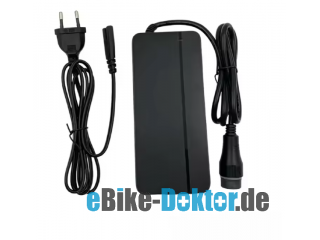 Yamaha / Haibike / Winora / Ghost Ladegerät 42V,4A   BC291